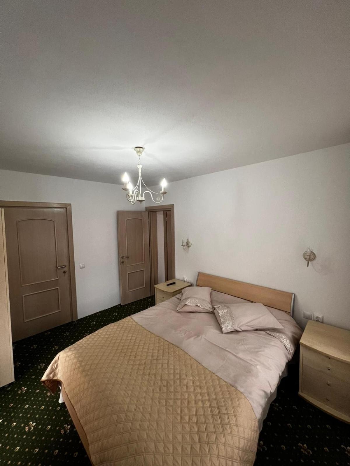 ホテル Casa Bujor De Munte Dragoslavele エクステリア 写真